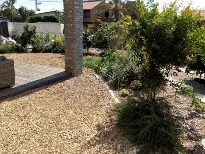 גינה במכמורת  שילוב של נוי ובוסתן מחופה ברסק עץ 2